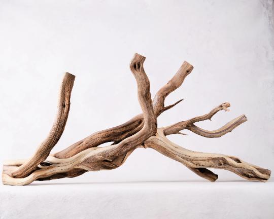 Driftwood twigs for clearance sale