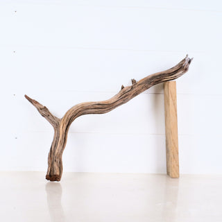 Micro Manzanita Driftwood 19" natural curved piece with textured surface leaning on wooden block on white background