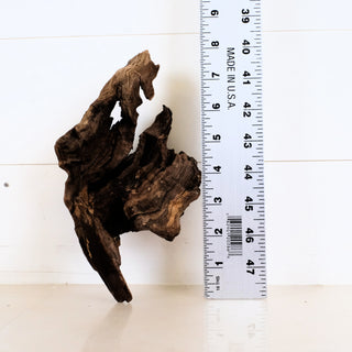 Micro Manzanita Driftwood 8" piece shown next to a ruler measuring approximately 8 inches in length.