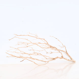 Manzanita Driftwood branch with intricate natural shapes and light wood tones measuring 31.5 by 8 by 12 inches