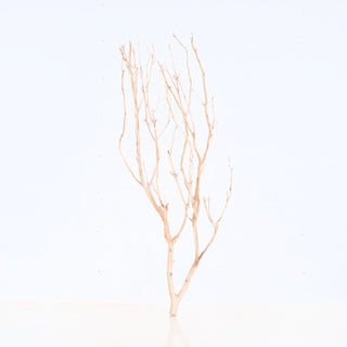 Manzanita Driftwood with delicate, bare branches standing upright on a plain white background measuring 31.5 by 8 by 12 inches
