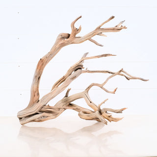 Manzanita Driftwood with smooth, twisted branches and natural light wood tones displayed on a white background