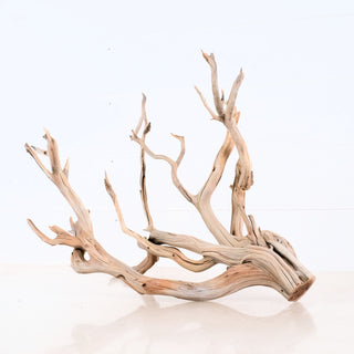 Natural curved Manzanita Driftwood piece with smooth light wood texture measuring 17.5 by 14.5 by 14 inches