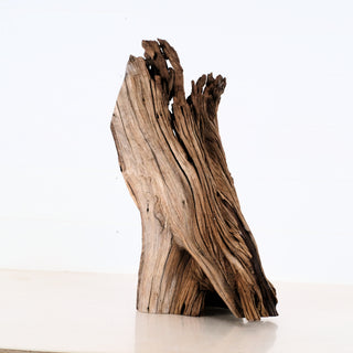 Manzanita Driftwood piece with natural textured wood grain perfect for aquarium or terrarium decoration measuring 19 by 7 by 7 inches