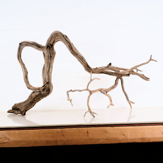 Manzanita Aquarium Driftwood piece with natural twists and branches suitable for aquarium or terrarium decoration measuring 35.5 by 19 by 20 inches