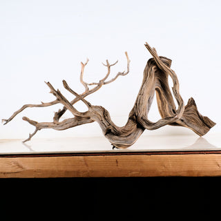 Natural twisted Manzanita Aquarium Driftwood piece ideal for aquarium or terrarium decor measuring 35.5 by 19 by 20 inches