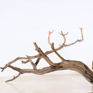 Manzanita Aquarium Driftwood with natural twisted branches perfect for aquarium or terrarium décor and habitat enhancement