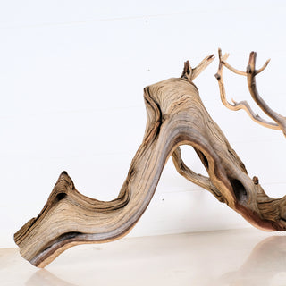 Manzanita Aquarium Driftwood with natural curves and texture ideal for aquarium and terrarium decoration measuring 35.5 by 19 by 20 inches