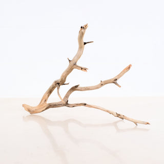 Manzanita Aquarium Driftwood with natural twisted branches perfect for aquarium or terrarium decoration measuring 11.5 by 5 by 8 inches