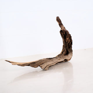 Micro Aquarium Manzanita Driftwood natural curved piece ideal for aquarium or terrarium decor measuring 18 inches length
