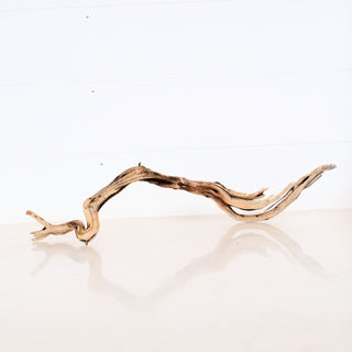 Micro Aquarium Manzanita Driftwood piece 18 inches long with natural curves perfect for aquarium or terrarium decoration