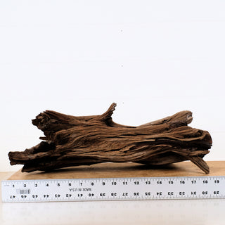 Manzanita Driftwood piece measuring 19 by 7 inches, ideal for aquarium or terrarium decoration