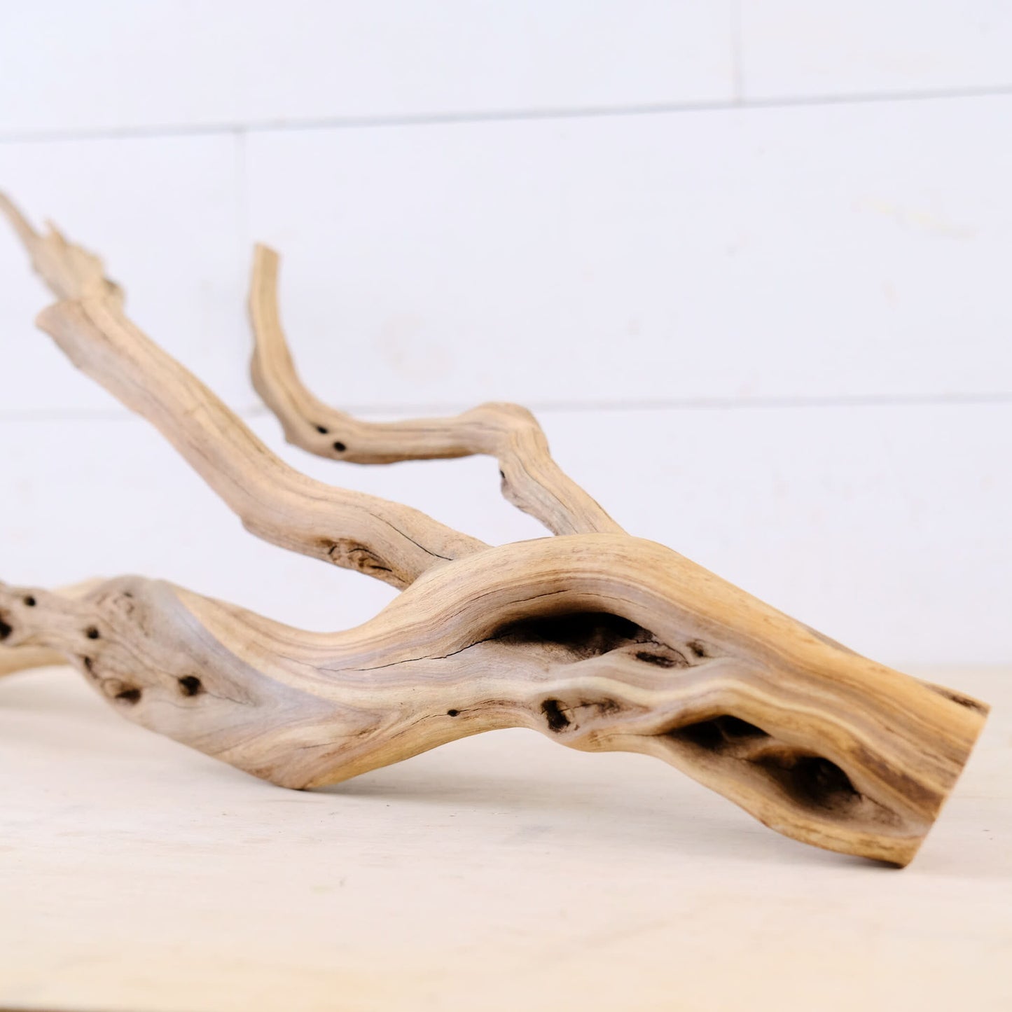 Manzanita 26" Branch, Large Aquascape Driftwood, Aquarium Wood Centerpiece, Natural Fish Tank Decor, Reptile Vivarium Branch