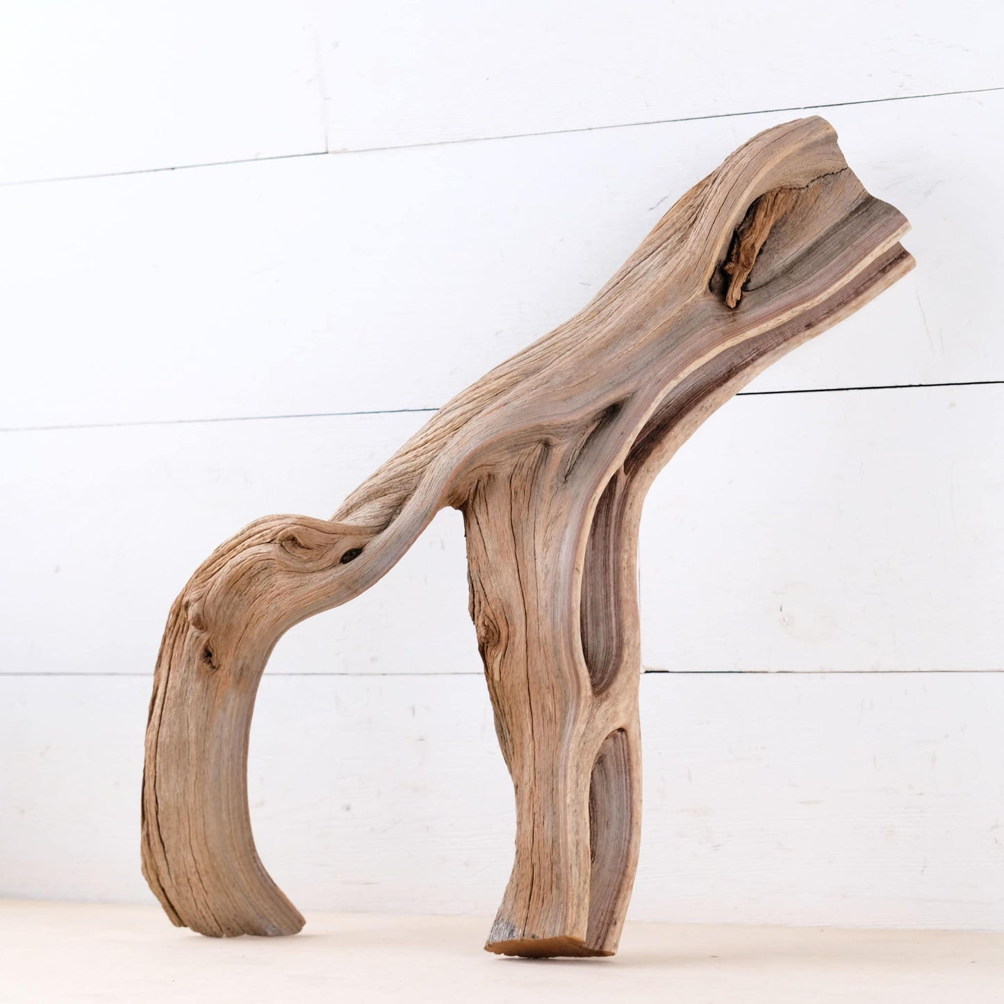 Manzanita 18" Driftwood, Aquarium Branch, Aquascape Decor, Vivarium Perch, Natural Fish Tank Decor, Reptile Terrarium Wood
