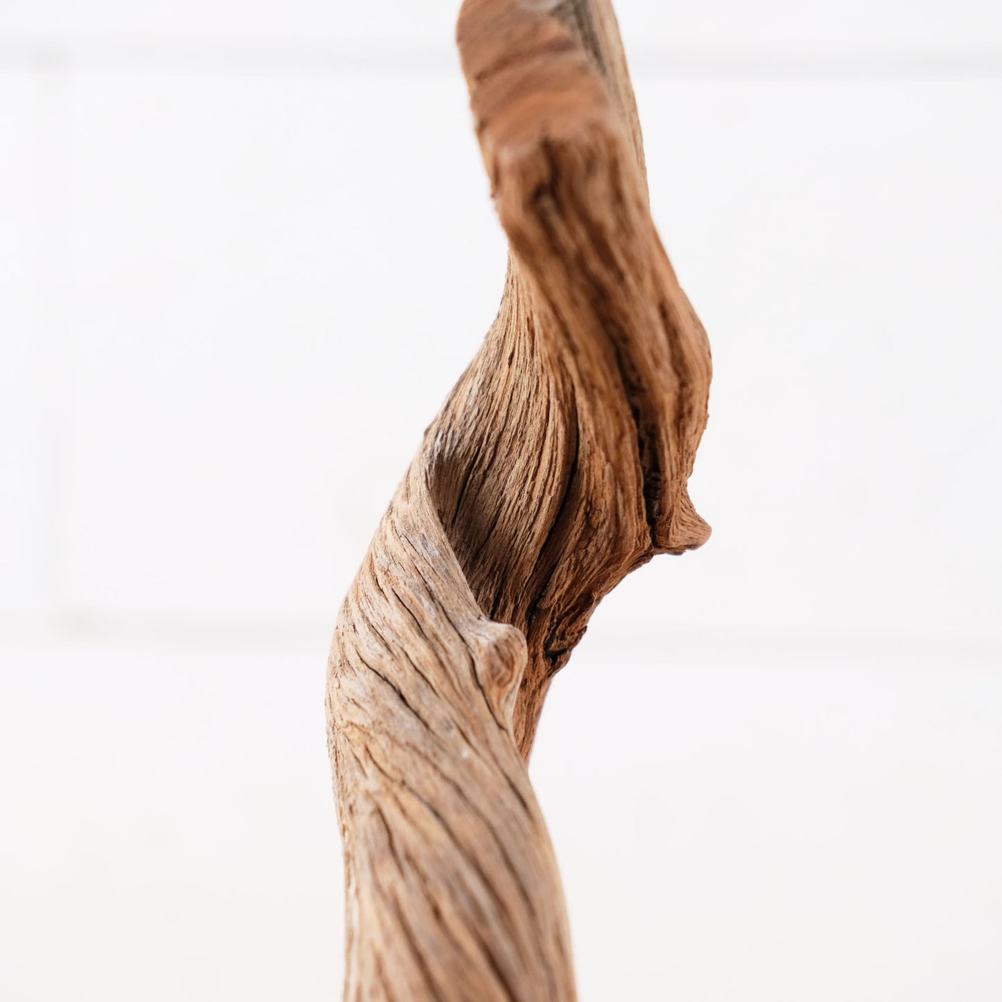 Manzanita 10" Branch, Small Aquascape Driftwood, Nano Aquarium Wood, Nanoscape Tank Decor, Real Fish Tank Wood