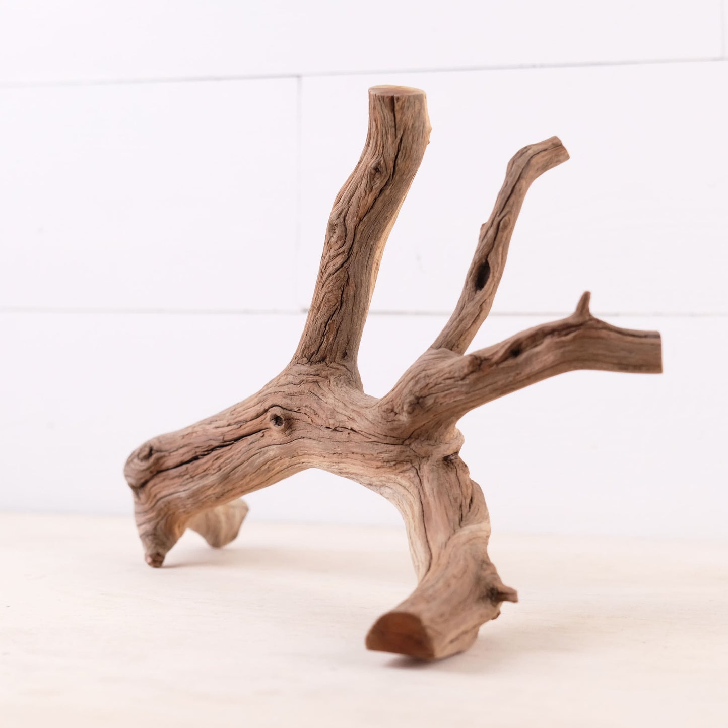 Manzanita 14" Driftwood, Aquarium Aquascape Branch, Natural Fish Tank Decor, Betta Branch, Terrarium Climb