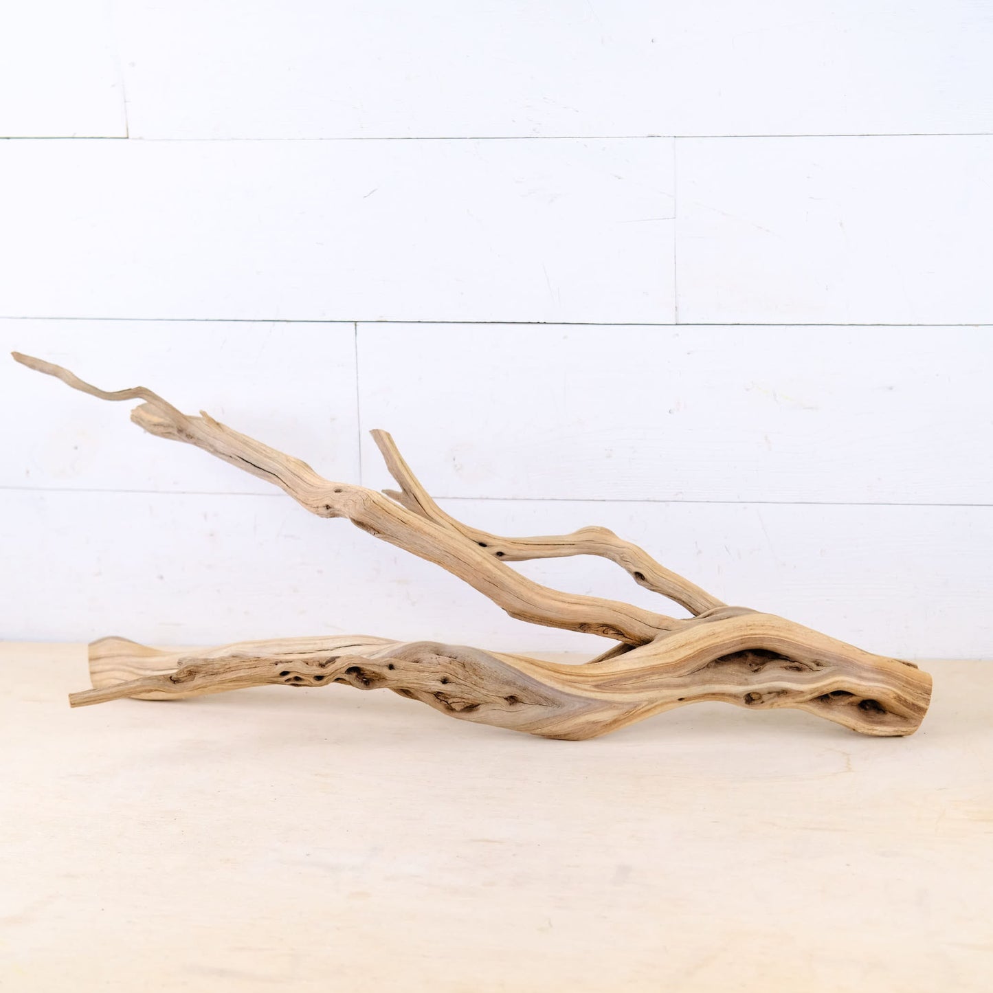 Manzanita 26" Branch, Large Aquascape Driftwood, Aquarium Wood Centerpiece, Natural Fish Tank Decor, Reptile Vivarium Branch