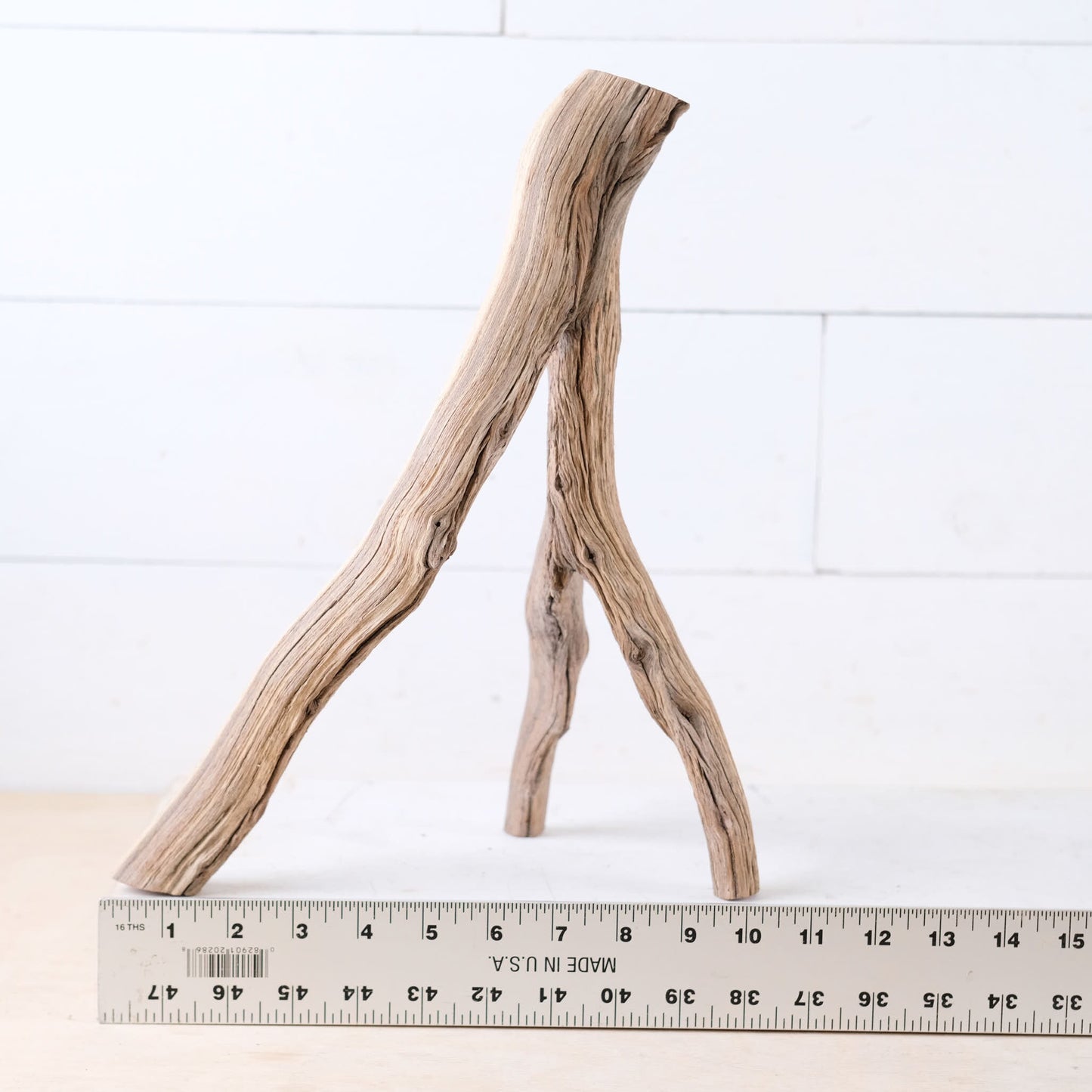 Manzanita 13" Branch, Aquascape Driftwood, Aquarium Wood Centerpiece, Natural Fish Tank Decor, Small Aquarium Wood, Betta Branch