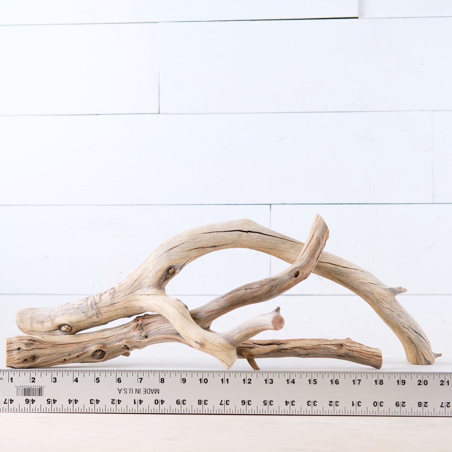 Manzanita 18-22" Branches (Set of 2), Reptile Vivarium Driftwood, Natural Terrarium Wood, Aquarium Decor, Fish Tank Branch, Boa Driftwood