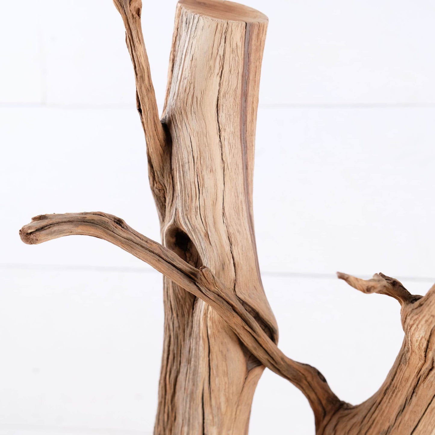 Manzanita 15" Branch, Aquascape Driftwood, Aquarium Wood Centerpiece, Terrarium Tank Decor, Real Shrimp Tank Wood