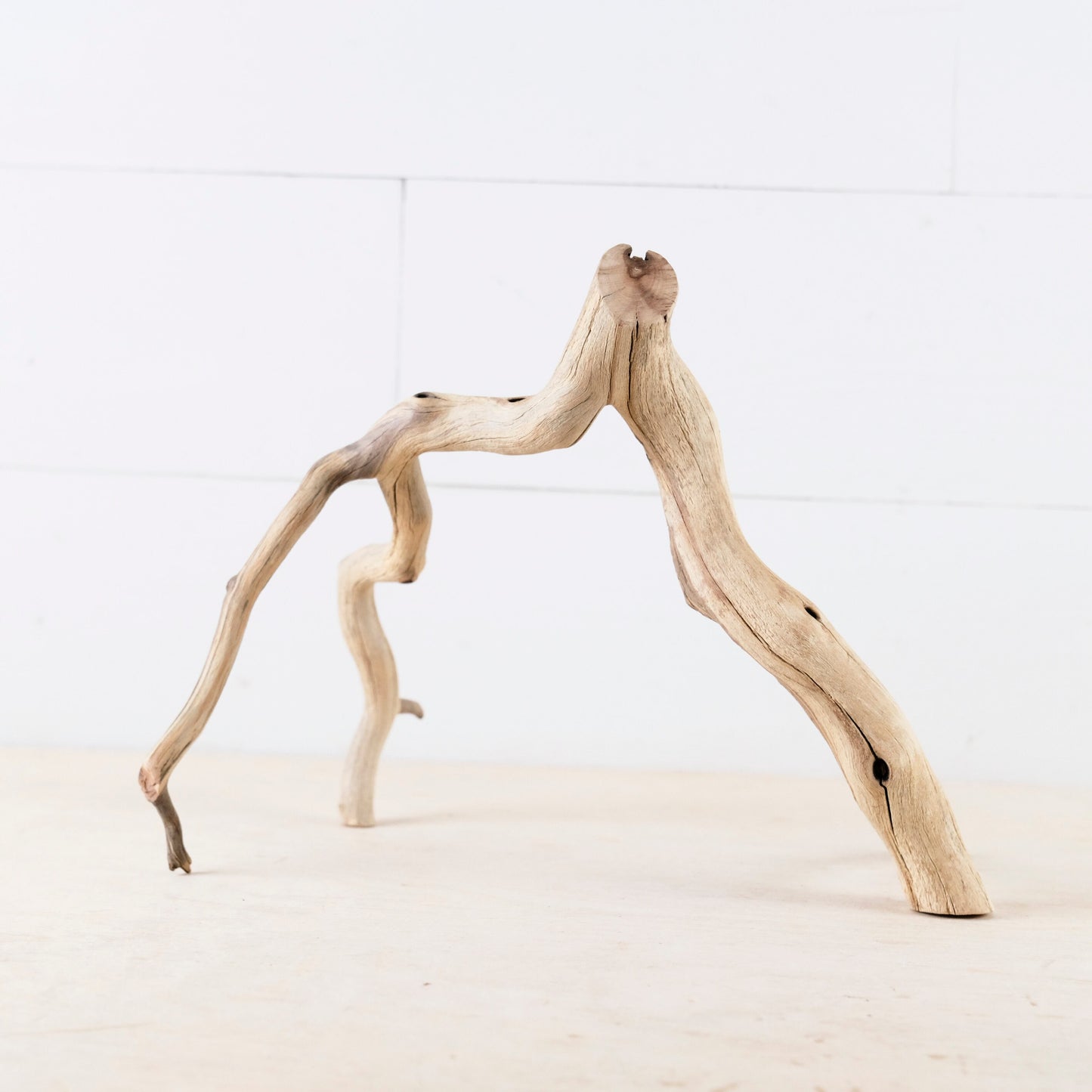 11.5" Manzanita Branch, Small Aquarium Wood, Aquascape Driftwood, Narrow Fish Tank Decor, Terrarium Branch