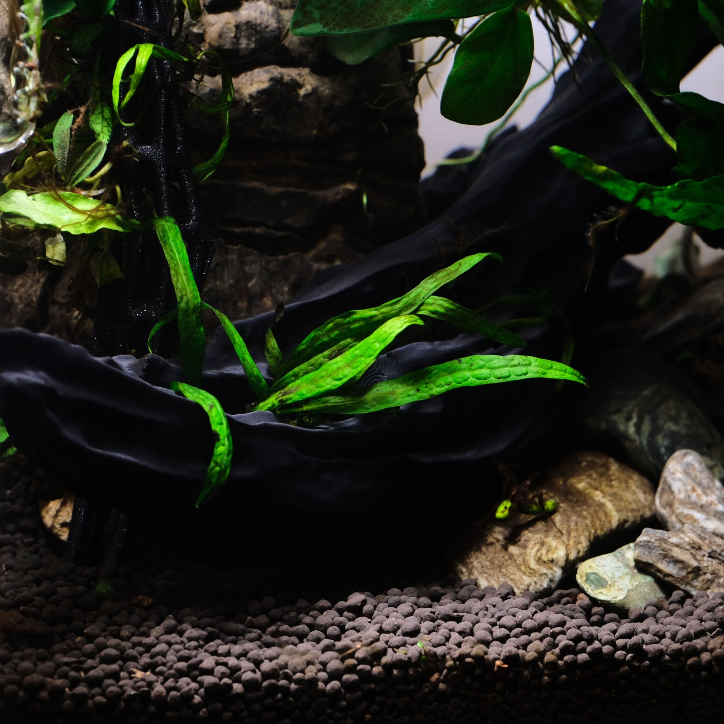 11" 3d Printed Aquarium Driftwood Root
