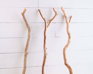 Driftwood Stick Pack