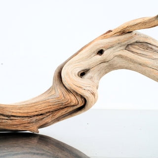 Manzanita Driftwood