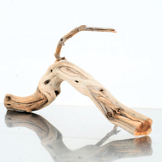 Manzanita Driftwood