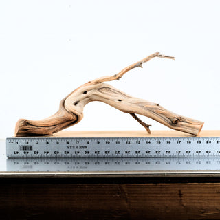 Manzanita Driftwood