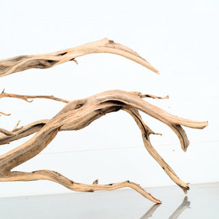 Manzanita Driftwood
