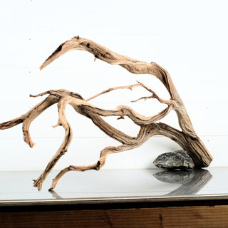 Manzanita Driftwood