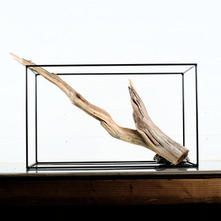 Manzanita Driftwood