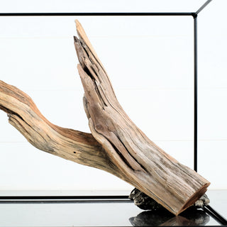 Manzanita Driftwood