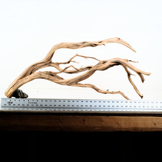 Manzanita Driftwood