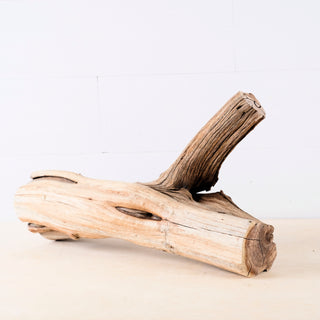 18" Manzanita Driftwood