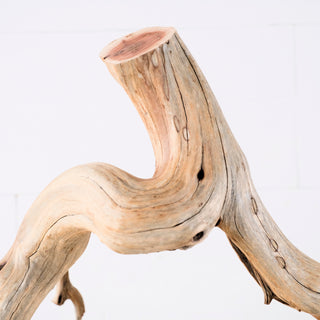 19" Manzanita Driftwood