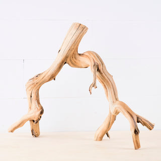19" Manzanita Driftwood