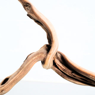 Manzanita Driftwood