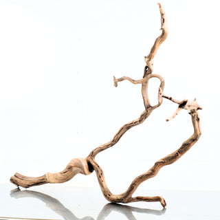 Manzanita Driftwood