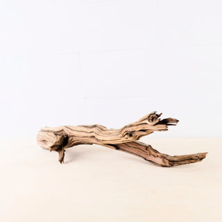 manzanita driftwood