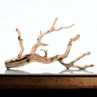 Manzanita Driftwood