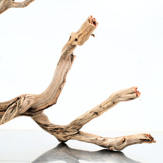 Manzanita Driftwood