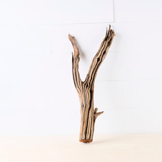 20" Manzanita Driftwood