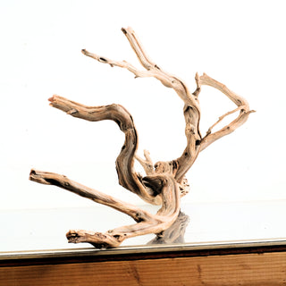 Manzanita Driftwood