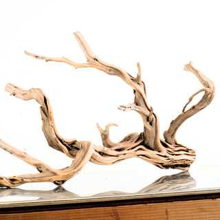 Manzanita Driftwood