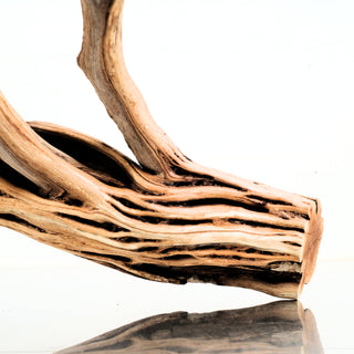 Manzanita Driftwood