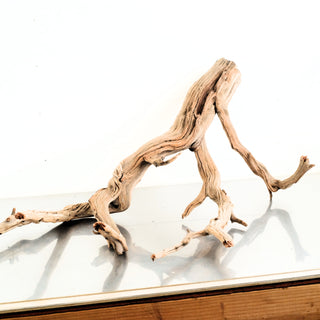 Manzanita Driftwood