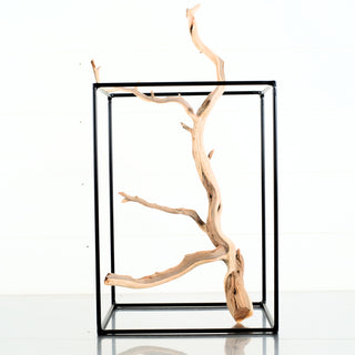 Manzanita Driftwood