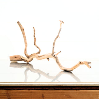 Manzanita Driftwood